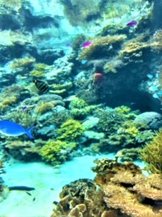 夏季休業のお知らせ