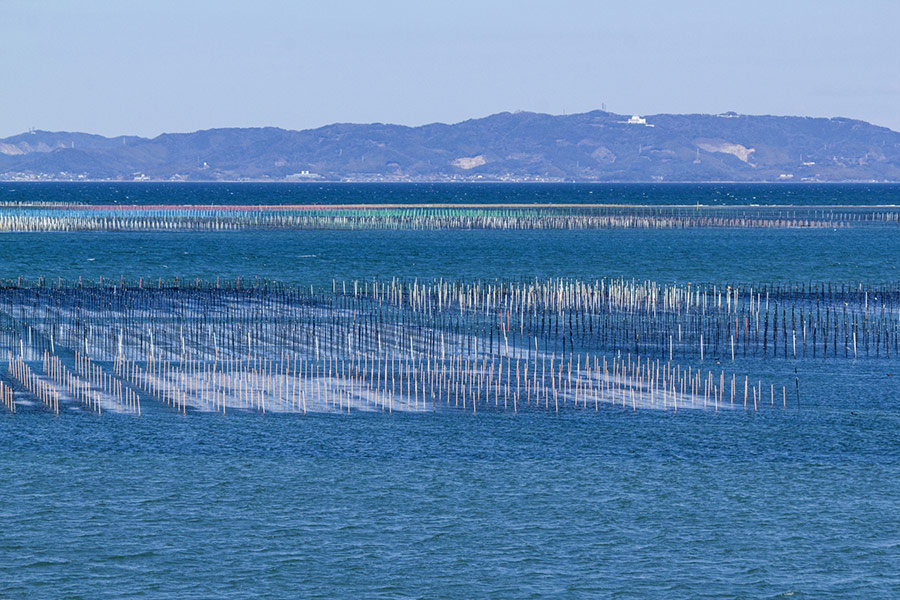 海苔の産地の違いとは？味・香り・特徴をプロ向けに徹底解説